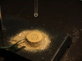 zephyrs_disc_1